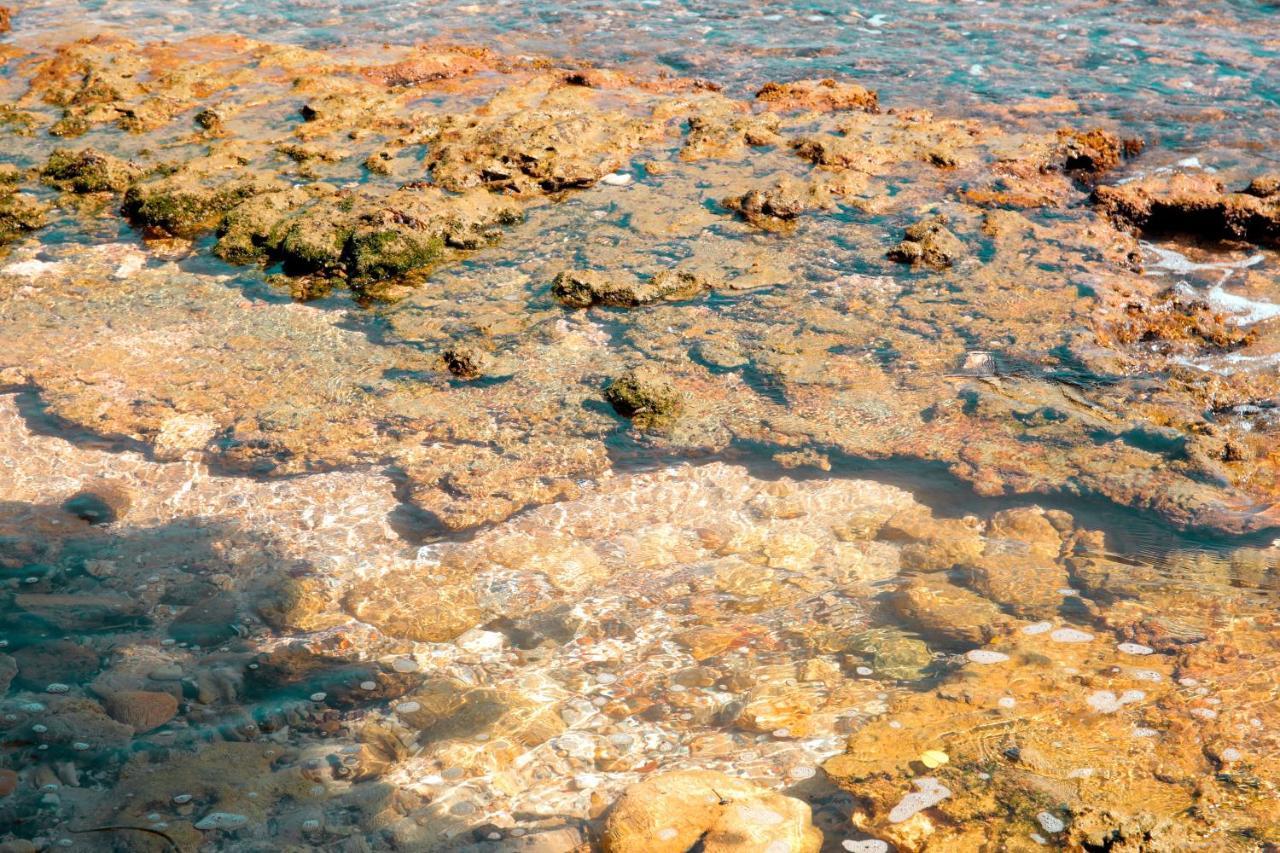 Pearl Mirissa Otel Dış mekan fotoğraf